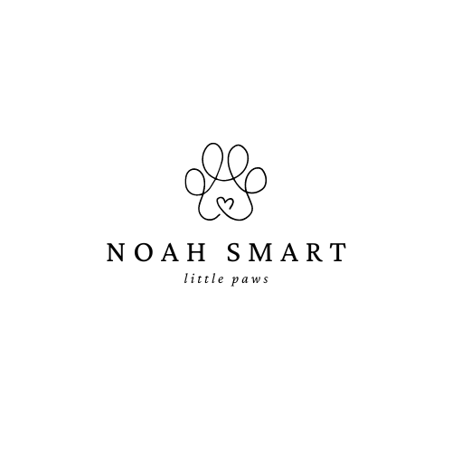 NOAH SMART 