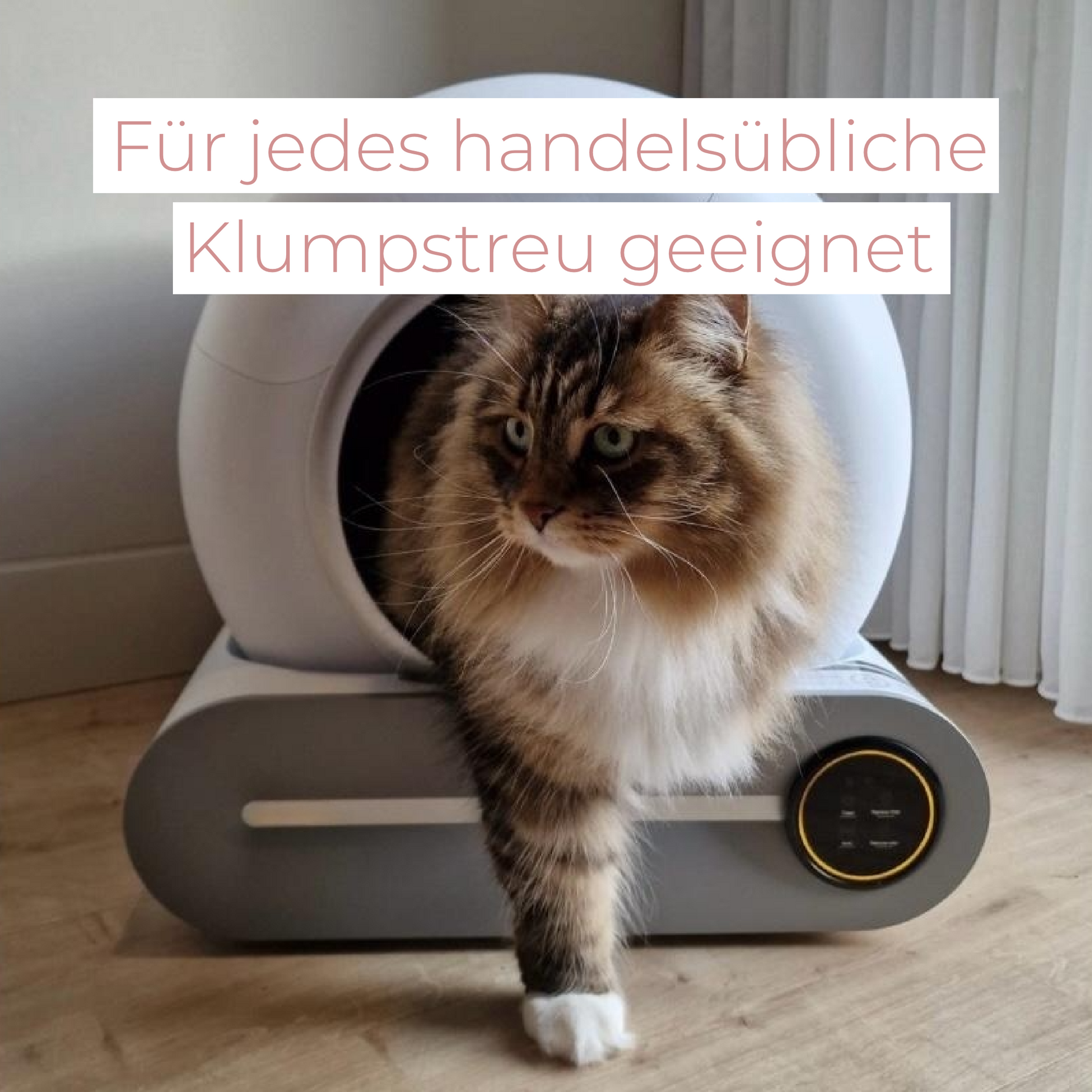 automatisches Katzenklo, katzenklo elektrisch